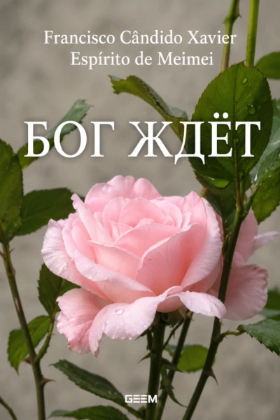 [186] Бог Ждет