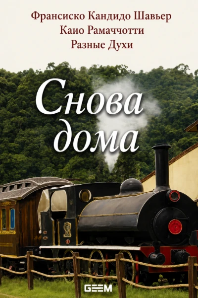 [251] Снова Дома