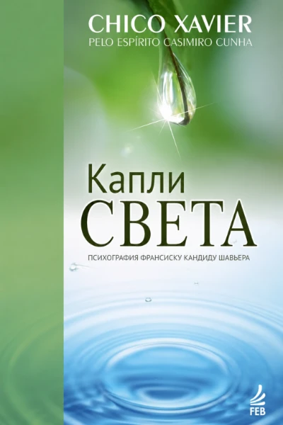[049] Капли Света