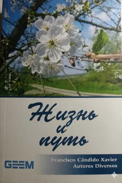 [379] Жизнь и путь