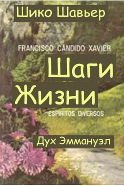 Шаги жизни